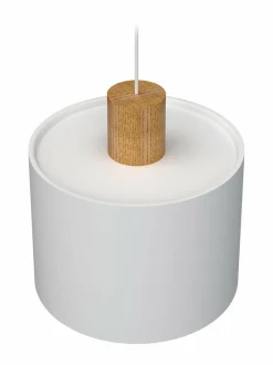 Log 30 -kattovalaisin