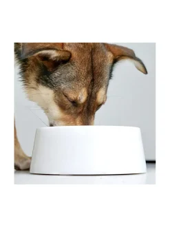 Marmorinen design ruokakulho - Kristallinvalkoinen