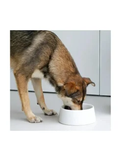 Marmorinen design ruokakulho - Kristallinvalkoinen