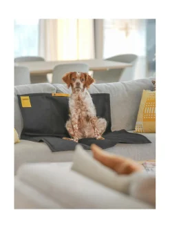 Matkamatto Kanto x Kvadrat