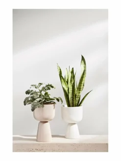 Nappula-ruukku 230 x 155 mm