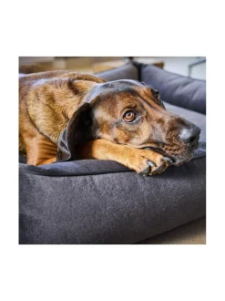 Ortho Buffalo ortopedinen koiranpeti - Vintage