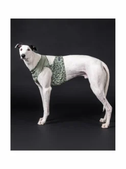 PAIKKA Cool Vest Green Leo