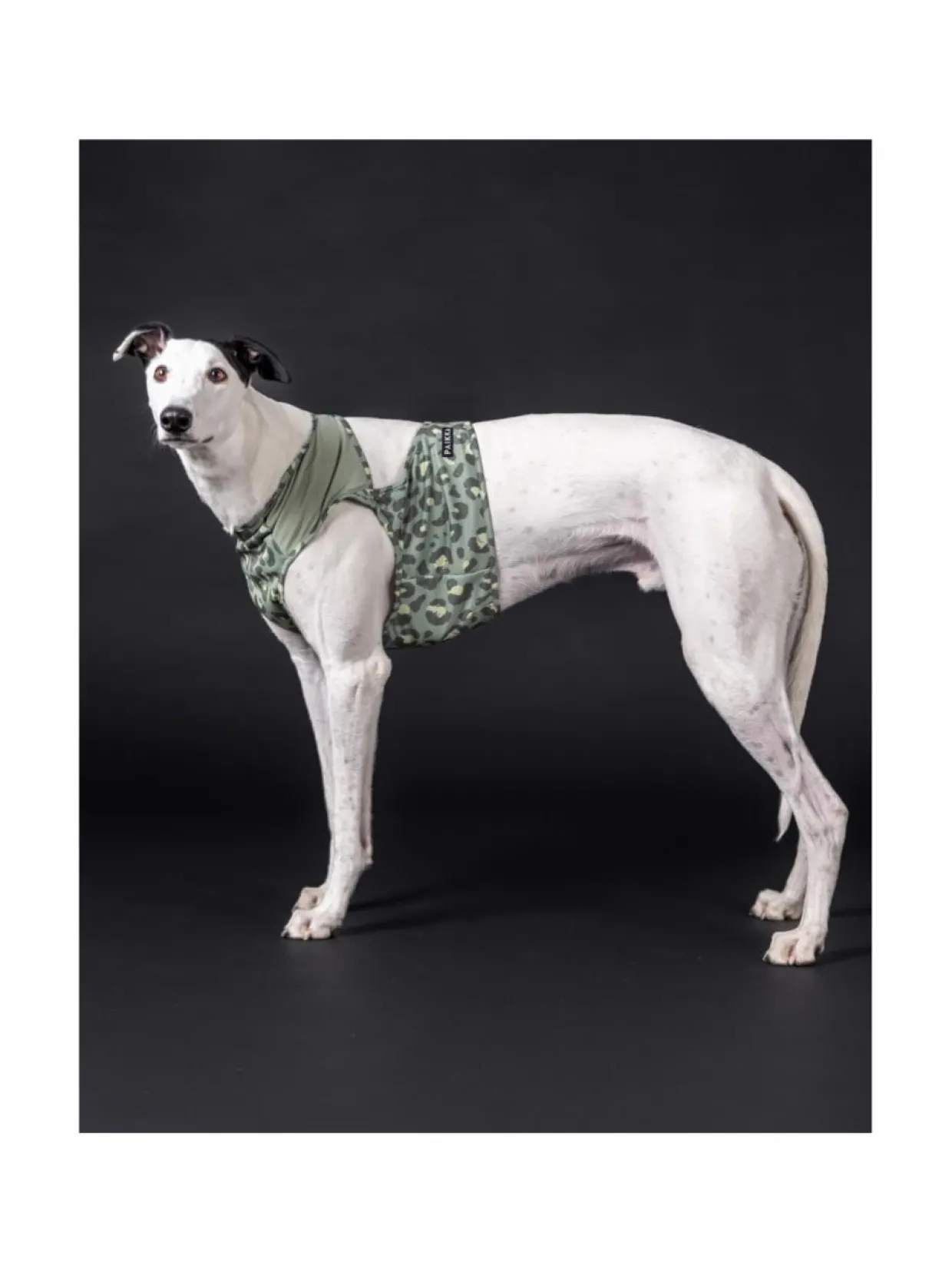 PAIKKA Cool Vest Green Leo