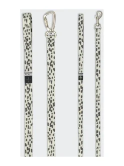 PAIKKA Glow Leash 2.0