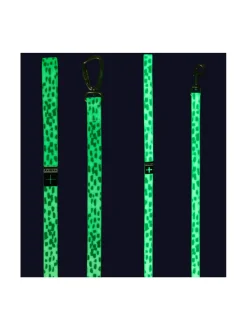 PAIKKA Glow Leash 2.0