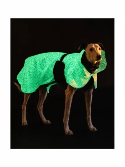 PAIKKA Raincoat 2.0 Baby Blue