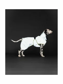 PAIKKA Reflective Shell Jacket Matcha