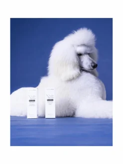 PAIKKA Summer Treatment Cream 50ml