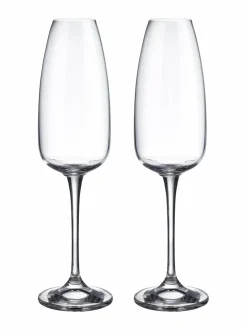 Piemonte-kuohuviinilasi 290 ml, 2 kpl