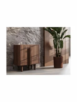 Pilae Intus - senkki, pähkinä