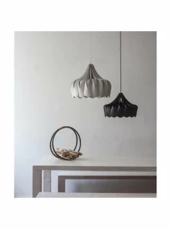 Pioni L -kattovalaisin