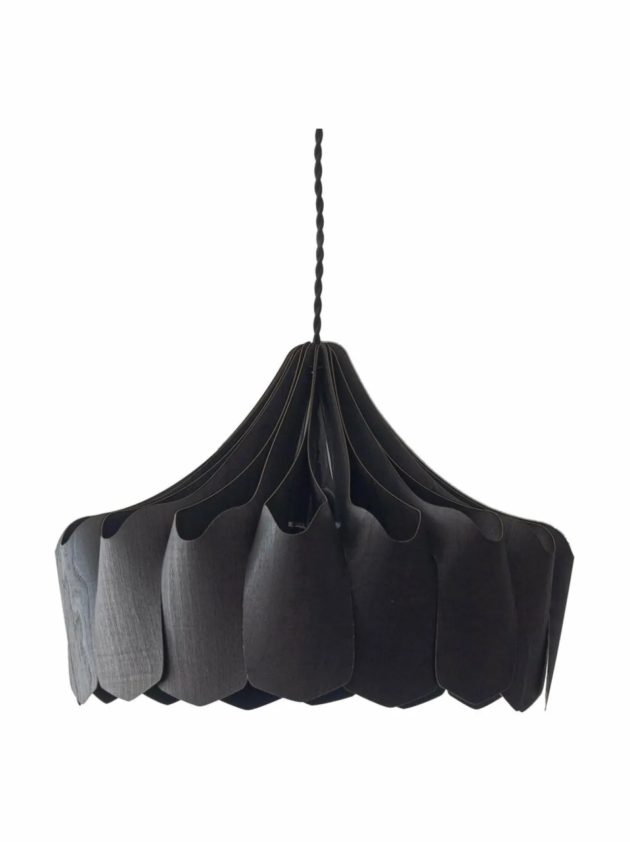 Pioni S -kattovalaisin