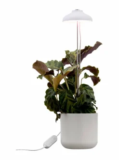 Plant Light Iris -kasvivalaisin 5W/835 240 lm