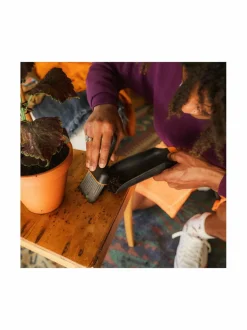 Planting Set - multakauha ja harja