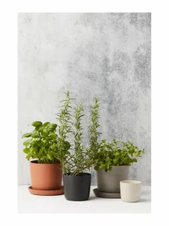 Point-ruukku 18 x 15.8 cm