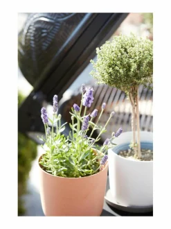 Point-ruukku 18 x 15.8 cm