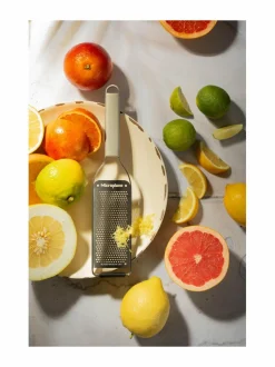 Professional Fine -raastin