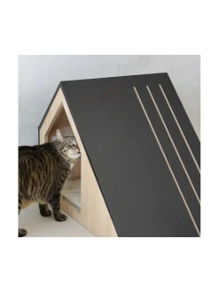 Puinen lemmikkitalo - Epäsymmetrinen