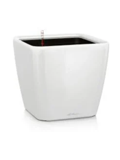 Quadro Valkoinen Altakasteluruukku pyörillä ∅50cm, korkeus 47cm