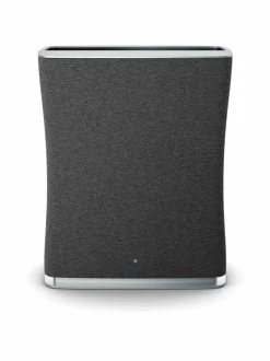 Roger-ilmanpuhdistin