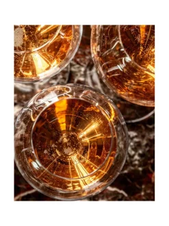 Samppanjalasi Grand Champagne 25cl (6 kpl)