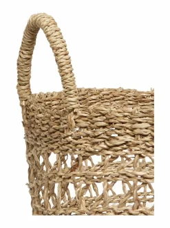 Serem -meriruohokori