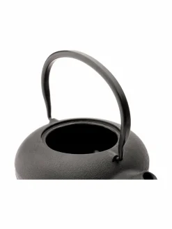 Shanxi Tea Set -teepannu ja kaksi kuppia