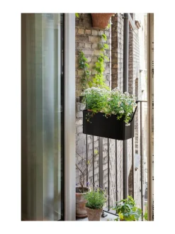 Simply Grow parvekelaatikko