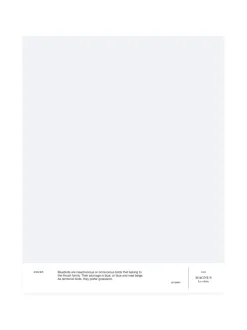 Sävymalli 003 MAGNUS - ice white