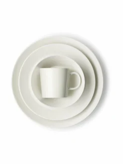 Teema-lautanen 17 cm