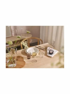 Teema-lautanen 17 cm