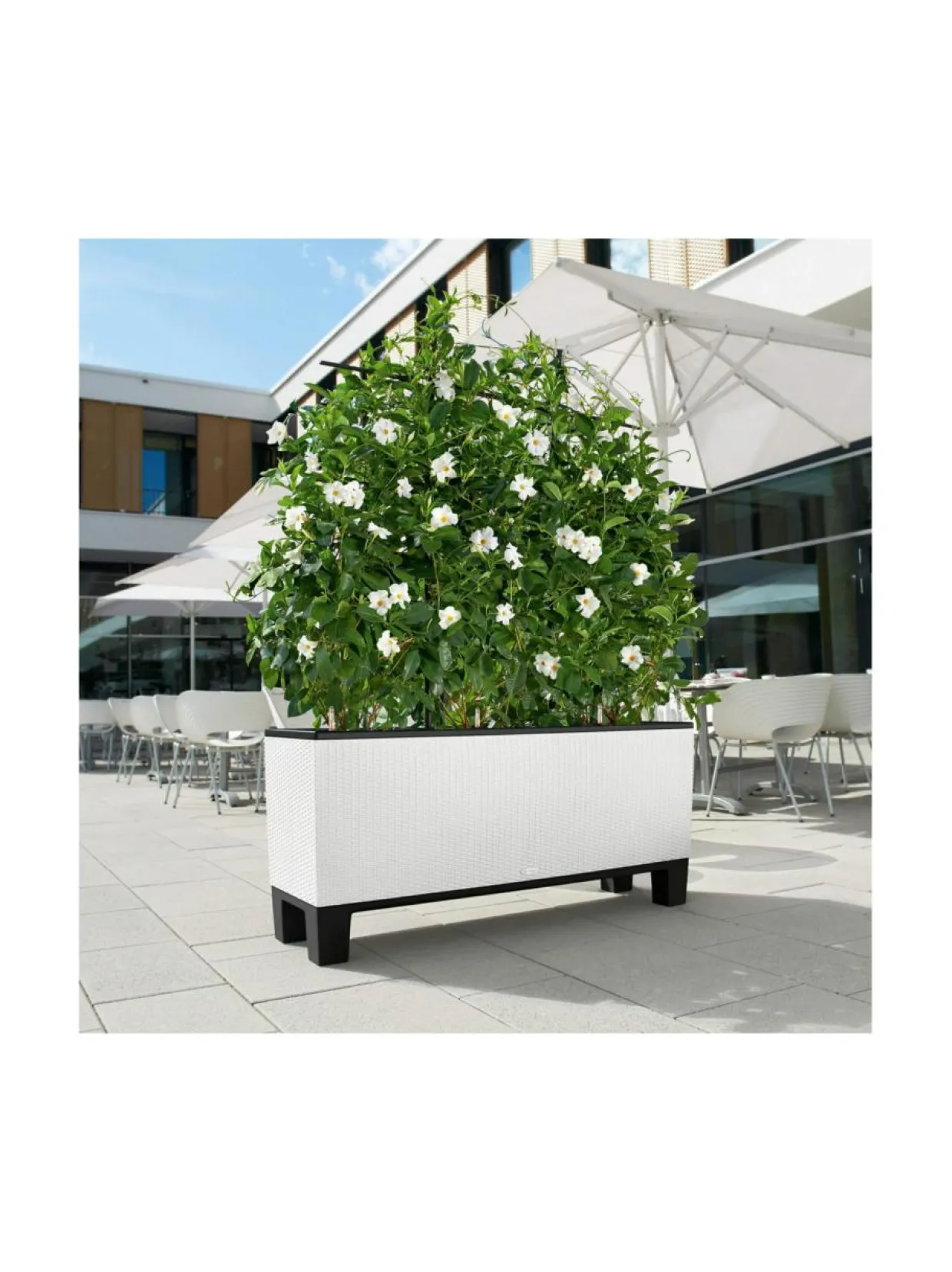 Trio Cottage Tummaharmaa Altakasteluruukku 100x32cm, korkeus 34cm + jalat 15 cm + köynnöskehikko