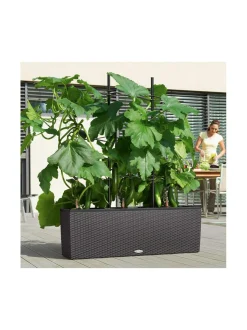 Trio Stone Valkoinen Altakasteluruukku 100x32cm, korkeus 34cm + jalat 15 cm + köynnöskehikko