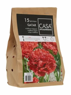 Tulipa Qatar -tulppaanisipulit 15 kpl