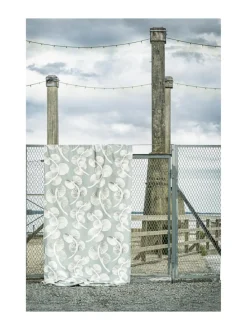 Valmisverho, Herbarium