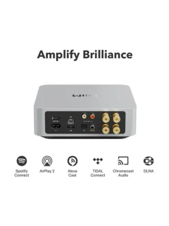 Wiim Amp vahvistin Hopea